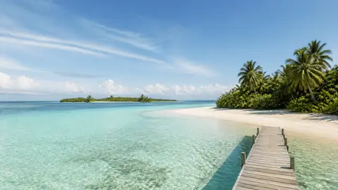 A turquoise lagoon with a wooden jetty and palm trees