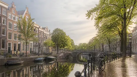 Tall canal houses and a bridge along a tree-lined canal