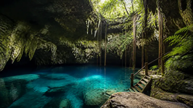 A clear blue cenote pool under a jungle cave